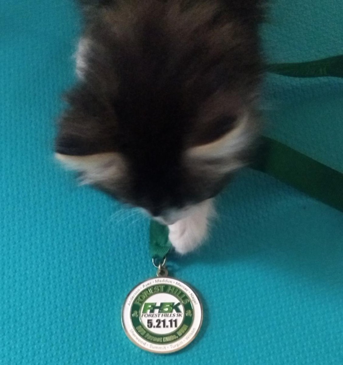 Forest Hills Foundation for Education tweet media