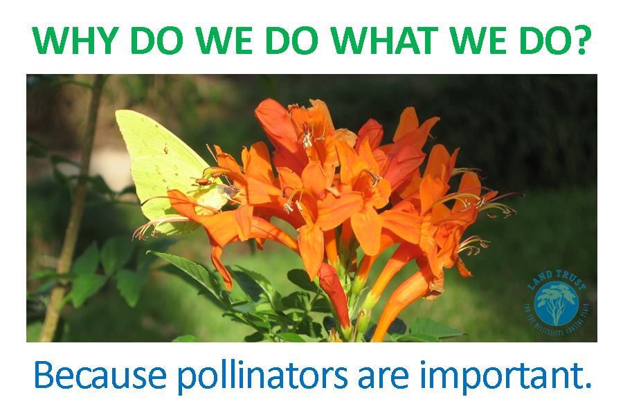 LandTrustMS tweet media