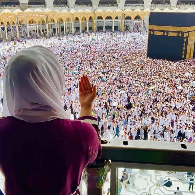 #FolloW BaCk🌹🌹🌹 tweet media