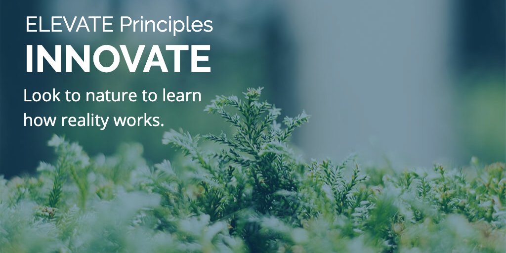 Think_ELEVATE's tweet photo. The team at ELEVATE lives by a core set of principles.  
Principle no. 2:  INNOVATE.

Evolve or die.
Harness technology to complement the human mind.
Look to nature to learn how reality works.

#innovation #principles #nature #evolution https://t.co/c8Waja58ol