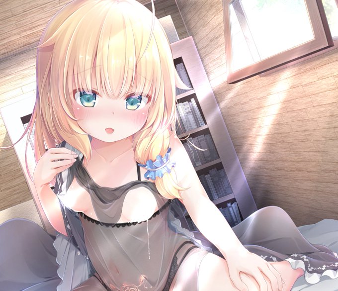 新刊表紙(鳥用) 