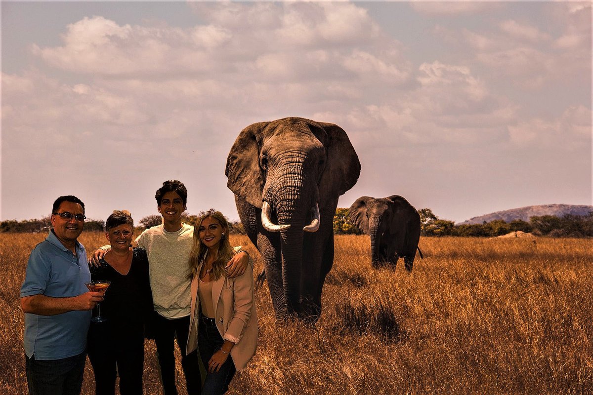 DanFlay's tweet photo. In other news, my great uncle photoshopped a picture of me and my family to look like we're on an African safari. Thank you? https://t.co/0bmVGYps3r