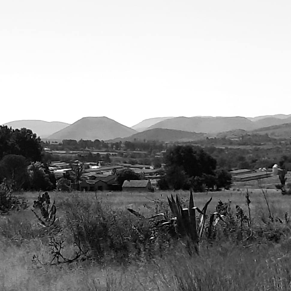 Nature in black and white! #2020covid19lockdownday35!😷😉