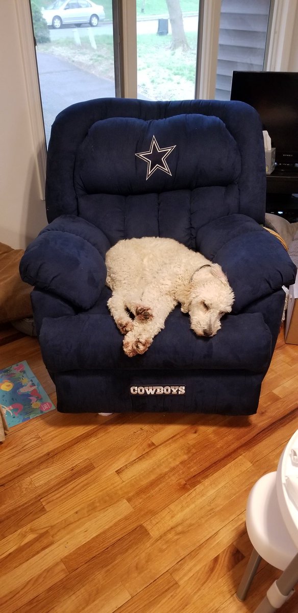 WHRHighSchool's tweet photo. Mr. Dell Elba's pup has found a comfortable spot today. #StreaksInIsolation @WHstudco #WHRHSPride https://t.co/UAQETwCe2s
