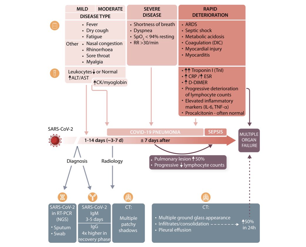 CVR Tomasz Guzik (@cvr_tomaszguzik) on Twitter photo Published online TODAY, our must-read review of #COVID19 and the #cardiovascular system - exploring implications for #risk assessment, #diagnosis and treatments. Featured in latest <a href="/escardio/">European Society of Cardiology</a> guidance
More: bit.ly/3d131tL
#SARSCoV2 #CardioTwitter #CardiovascularResearch Published online TODAY, our must-read review of #COVID19 and the #cardiovascular system - exploring implications for #risk assessment, #diagnosis and treatments. Featured in latest <a href="/escardio/">European Society of Cardiology</a> guidance
More: bit.ly/3d131tL
#SARSCoV2 #CardioTwitter #CardiovascularResearch