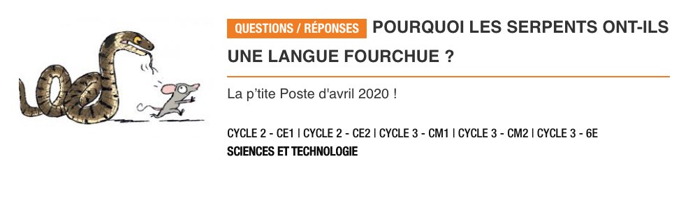 SalamandreEcole's tweet photo. #ecolealamaison Découvrez la nouvelle question-réponse « Pourquoi les serpents ont-ils une langue fourchue ? » de Salamandre Junior n°129 (avril-mai), la revue des explorateurs de nature de 8-12 ans. 
https://t.co/QRSdoaYBPZ https://t.co/td7TjPIZZf