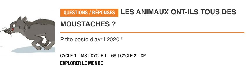 SalamandreEcole's tweet photo. #ecolealamaison Découvrez la nouvelle question-réponse « Les animaux ont-ils tous des moustaches ? » de Petite Salamandre n°29 (avril-mai), la revue des curieux de nature de 4-7 ans. 
https://t.co/zbe2h5JuPc https://t.co/J3eMQHZdHw