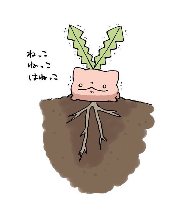ハネッコ ミズゴロウ 空飛ぶゴマゾウ 