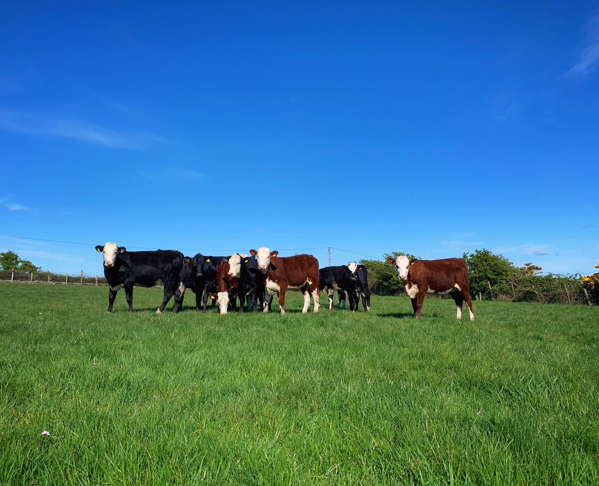 Caitlin Jones tweet media