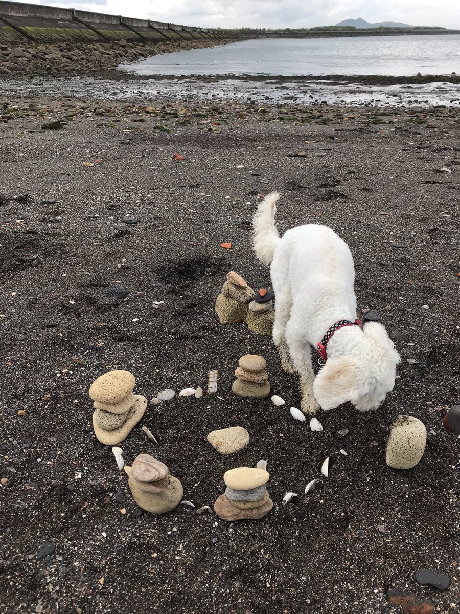 misshay9's tweet photo. We made a seaside village for the beach fairies. I hope they like it?? https://t.co/redW8cUlcA
