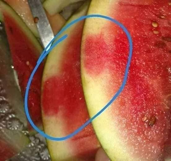 zaib46's tweet photo. خدارا احتیاط برتے جب بھی تربوز مارکیٹ یا کہیں سے خریدتے ہو تو یہ ضرور دیکھا کریں کہیں وہ انجیکٹڈ تو نہیں ۔ کیونکہ آج کل پھلوں میں artificial color or sweetnees انجیکشن کے ذریعے ڈالی جاتی ہے۔ جو کہ انتہائی مضر صحت ہوتے ہیں۔ثواب کے نیت سےتےRT کریں تاکہ سب کو معلومات حاصل ہو۔ https://t.co/ycLej8XntP