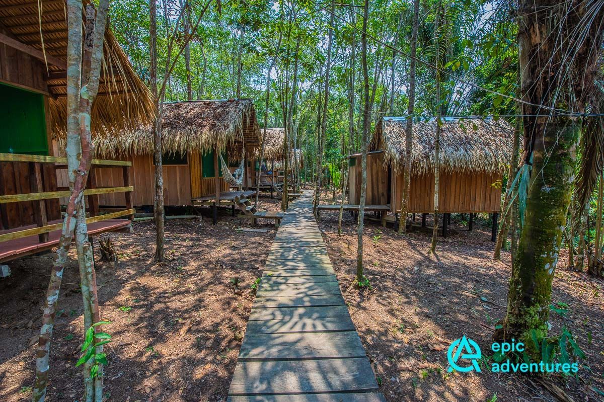 AsherPhil's tweet photo. Pre Lockdown: Amazon Jungle lodges South of #Manaus #Brazil off the main river, a great location to start pre #jungle training prior to heading out into the trees.. https://t.co/IjODmgN3pS