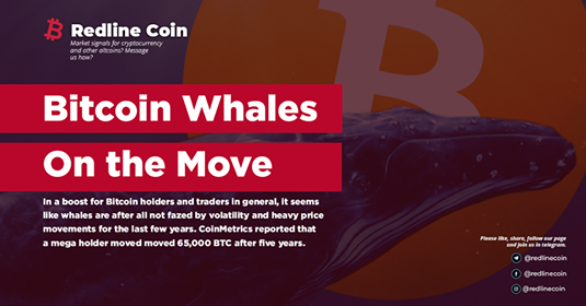 Redlinecoin2's tweet photo. Setting up a HUGE dump. 🤔🤭
What do you think? Comment down below 👇
Don't forget to follow us
https://t.co/GJO3uM9hCv
https://t.co/4MkCipaVhE
https://t.co/LSoAKXk1Kr
#covid19 #marketcrash #redlinecoin #redcoincom #btc #bitcoin #cryptocurrency #crypto #goingdownforreal #dump https://t.co/F32scMdqkU