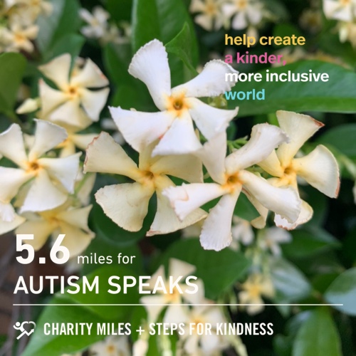 lisa_mccaskey's tweet image. 5.6 @CharityMiles for @autismspeaks. #StepsForKindness 💚Last day of April 2020! @SamHeughan 40th Birthday 🎁 Let’s celebrate!!!😊👏🏻💪🏻