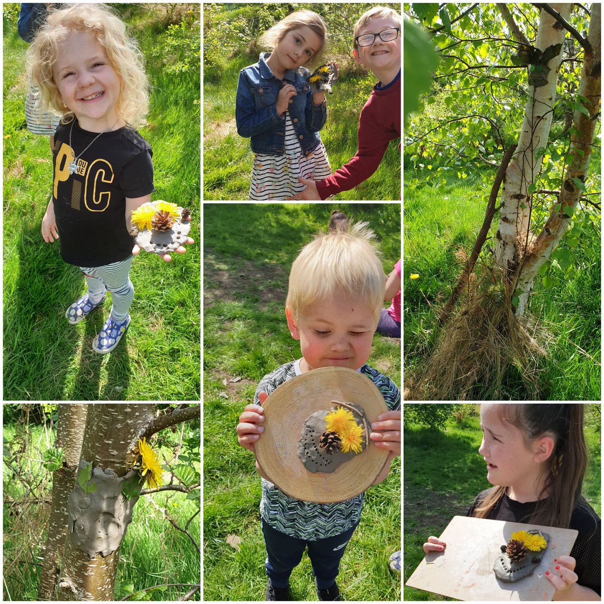 MiddlefieldFs's tweet photo. Catching up on some more Forest School at Hunter's wood last week. Glorious sunshine. We found out about tree sprites and some popped out to say hello! @middlefield_cp  #forestschool #treesprites https://t.co/kBF3HUFdoo