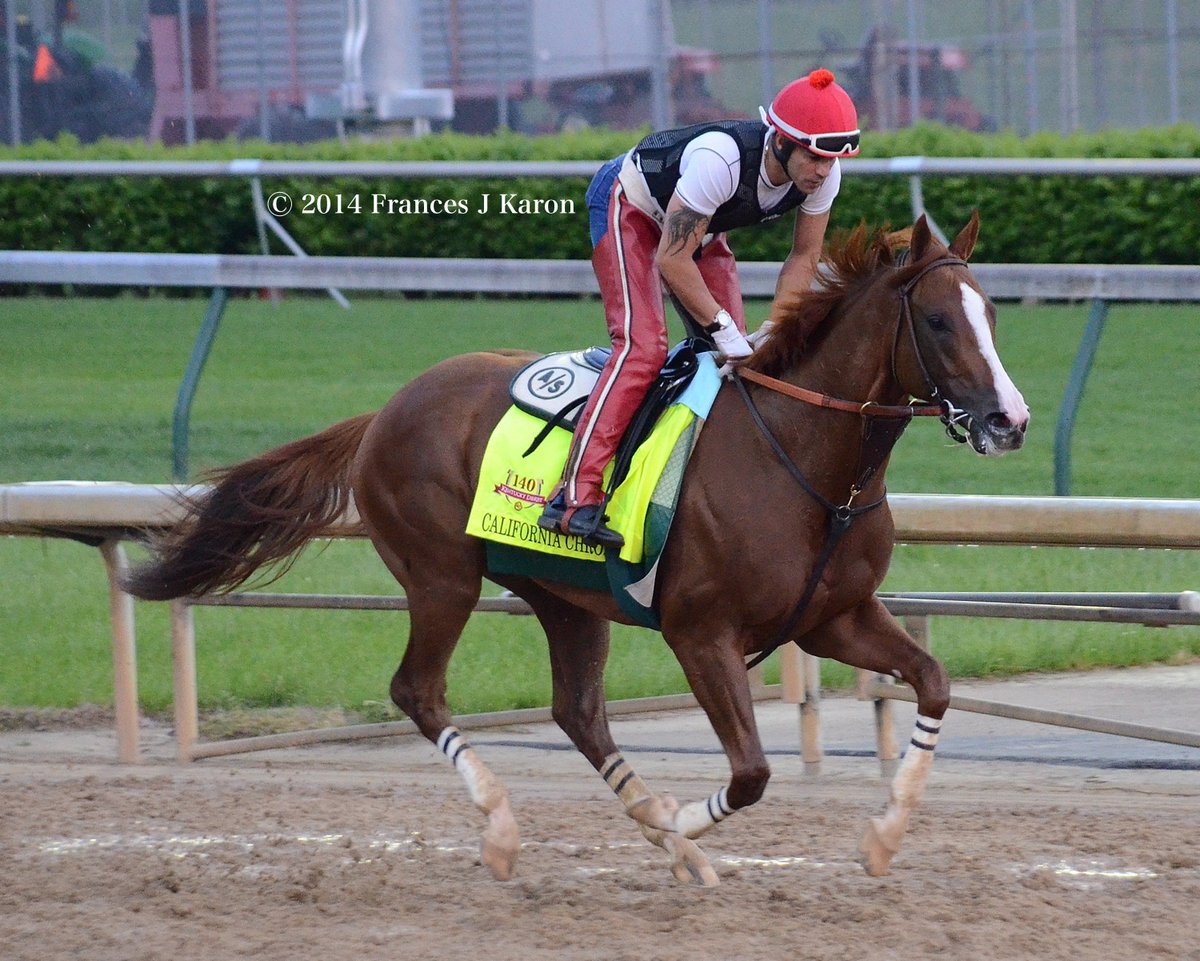 francesjkaron's tweet photo. Today's #SadDerbyWeek photos: California Chrome on April 30, 2014. He won the Derby three days later. https://t.co/PO007itz67