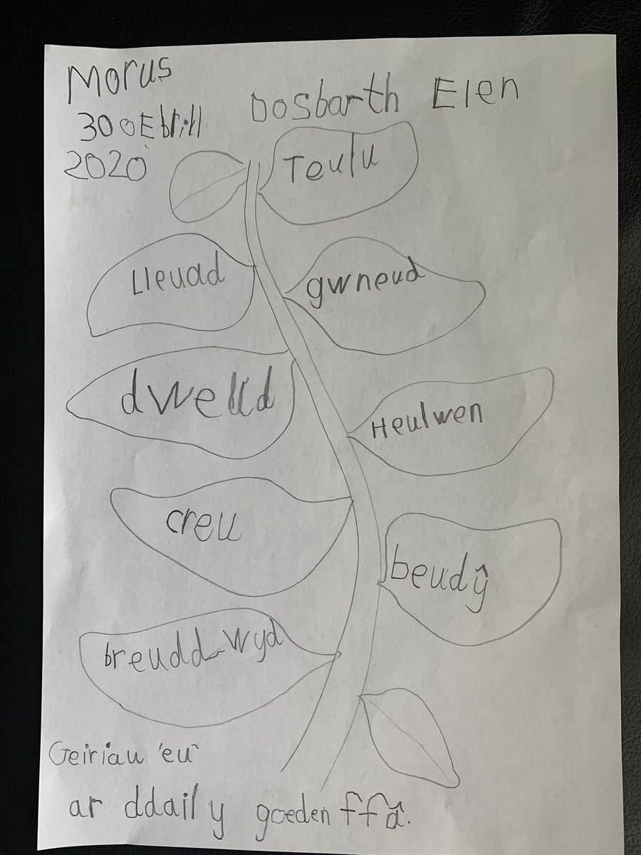 omeu1's tweet photo. @bl1treganna Geiriau ‘eu’ ar ddail y goeden ffâ, Morus dosbarth Elen😁 https://t.co/0hPiY9Bzit