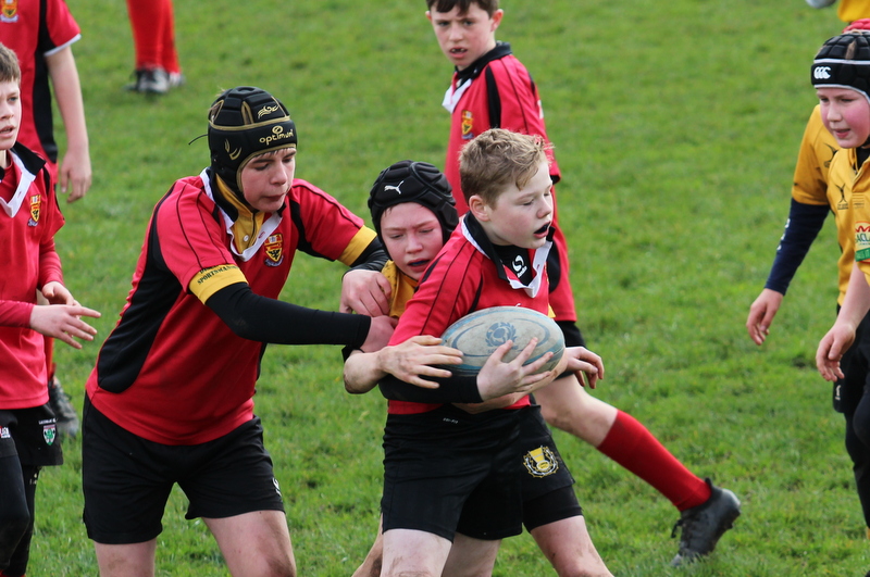 🚨Throwback Thursday🚨

A few more from the Lasswade Rugby archive! 

<a href="/LasswadeRFC/">LasswadeRFC</a> @lasswadesports @LasswadeHSC <a href="/Rugbmum/">Susan Shanks 🏴󠁧󠁢󠁳󠁣󠁴󠁿🏉📷</a>