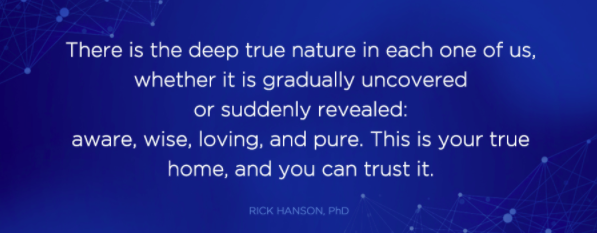 NeuroconnectP tweet picture