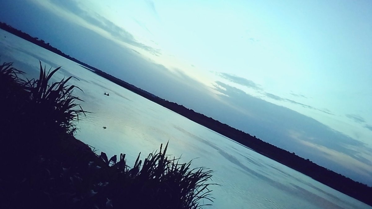 bro_codef's tweet image. Taking a walk this evening at water side and I shot📸👇