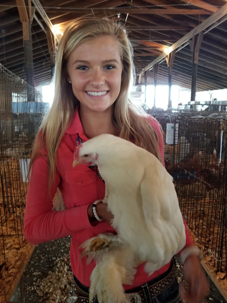 ROWVAFFA's tweet photo. @ROWVAFFA has a State Champion. Taylor Main was selected the Illinois FFA State Proficiency Award Winner in Poultry Production. Previously selected as the Chapter, Section and District winner she will begin the National FFA Award selection process in June. #rowvastrong @otfarms https://t.co/CfdAeMZxCI