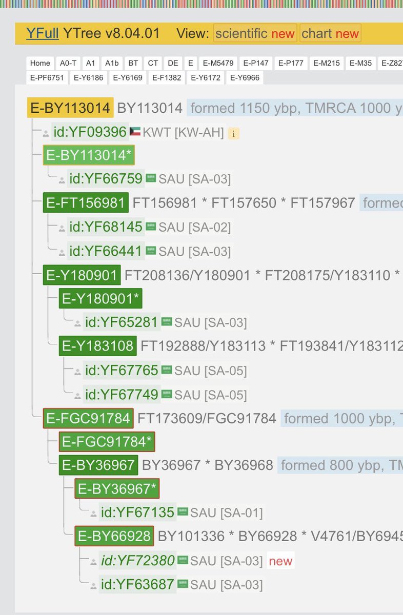 يسرنا إعلان نتائج آل محفوظ من المواسى من الفردة من بني السفر من حرب -سكّان العلا- وأرقامها بFTDNA هي BP12628, 637794 و بالYFull هي YF67135, YF63687 متكتلة مع أبناء عمومتهم #بني_السفر أسفل التحور E-BY113014 حفيد E-Y6966 حفيد تحور #قبيلة_حرب E-Y6172. ض