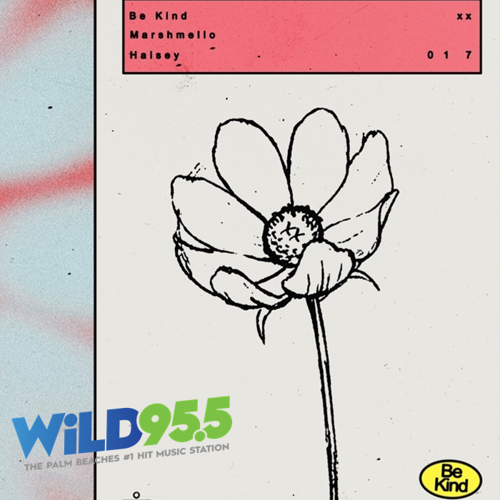 WiLD955's tweet photo. THIS FRIDAY is #NewMusicHALSday! TONIGHT at MIDNIGHT hear the exclusive @WiLD955 #WorldPremiere of @marshmellomusic & @halsey's new smash #BeKind! Then, hear it again and again and again…EVERY HOUR…ON THE HOUR!!! #MelloGang #NewHITSFirst #WiLD955 https://t.co/KKqYzFwLZq