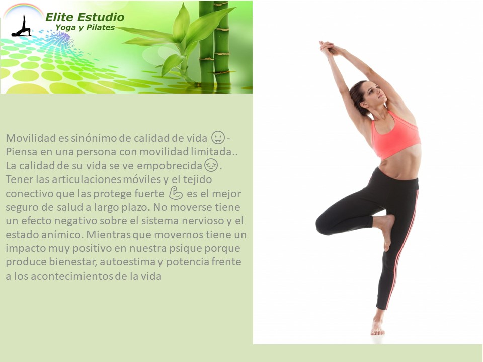 EliteEstudio's tweet photo. Pilates en Moratalaz. Elite Estudio Yoga y Pilates
https://t.co/39014yNWvP https://t.co/78bJAf59fY