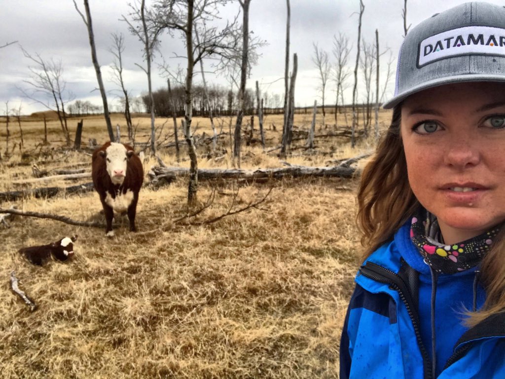 New life on the ranch, during unprecedented uncertain times for  Canadian farms.
#LivestockPriceInsurance has helped us manage through difficult times before, will changes be made for it to help us now? The future of our farms as well as food security depend on it.<a href="/mclaudebibeau/">Marie-Claude Bibeau</a>