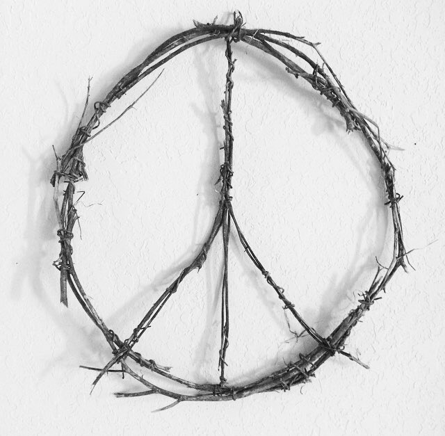 Wind, downed branches, a global pandemic and #artinthefaceoffuck, I guess. This is all the #homeschooling I did today. ✌🏼Per the beautiful stirrings of @LidiaYuknavitch  #coronavirus #CreateAtHome #natureishealing #mentalhealth #Peace