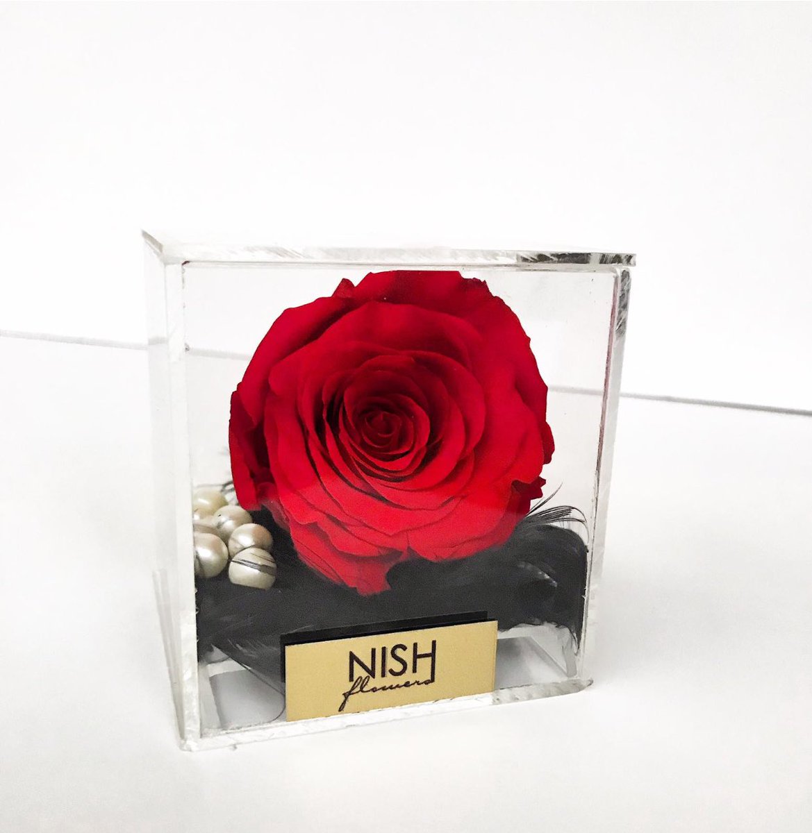 Anneler Günü Çekilişii 🎉🎉
Bu tiviti rtleyip bizi takip eden 2 kişiye aşağıdaki solmayan güllerden dilediğini hediye ediyoruz! 😍
Minimum 1 sene dayanan bu bebeklerle sevginiz hiç solmayacak. 💃🏼
Çok daha fazlası 👉 unuttumsanma.com