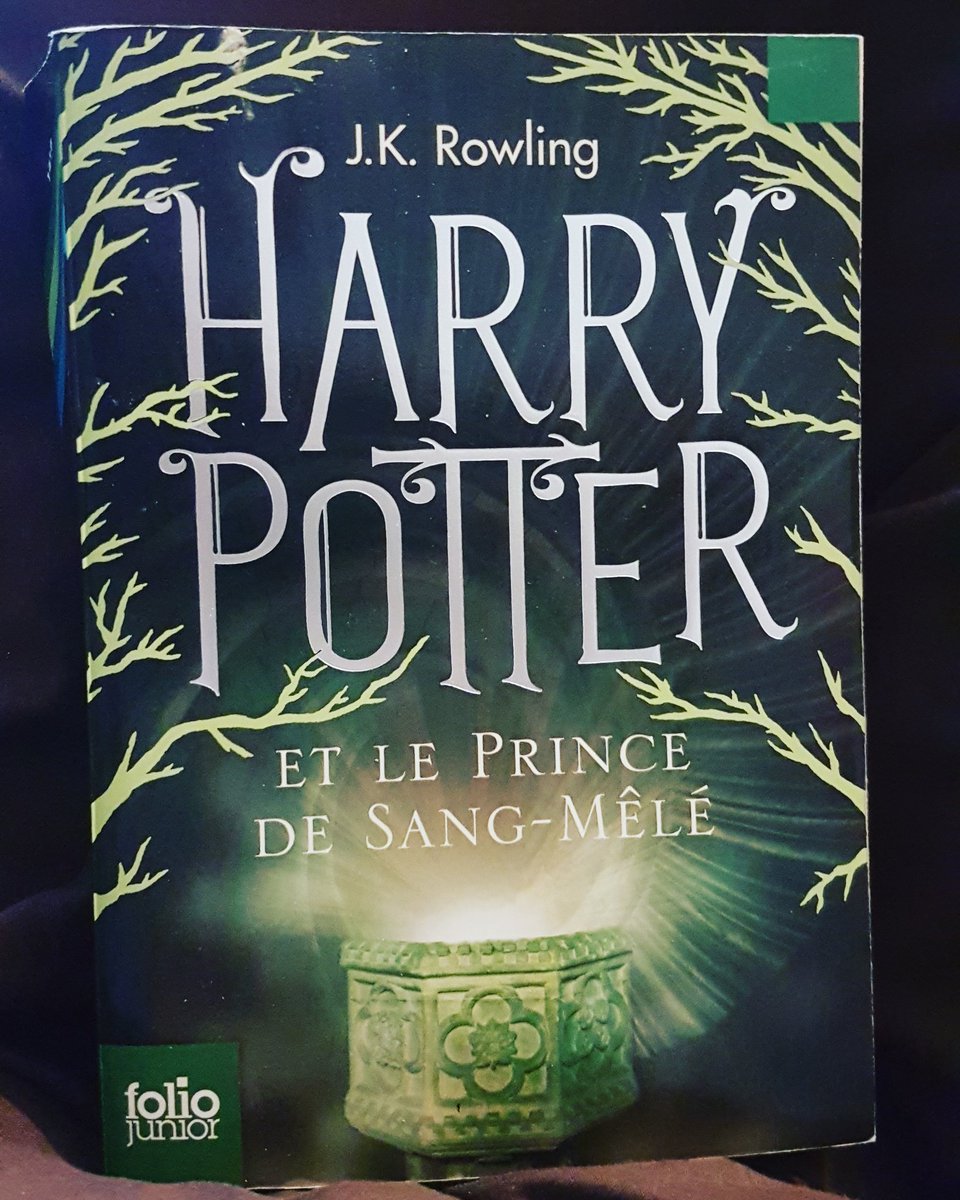 Reading time !

#HalfBloodPrince #HarryPotter #French #StayAtHome