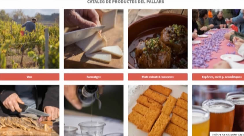 DELPALLARSACASA.CAT, WEB DE VENDA DE PRODUCTES DEL PALLARS JUSSÀ dlvr.it/RVmrBb