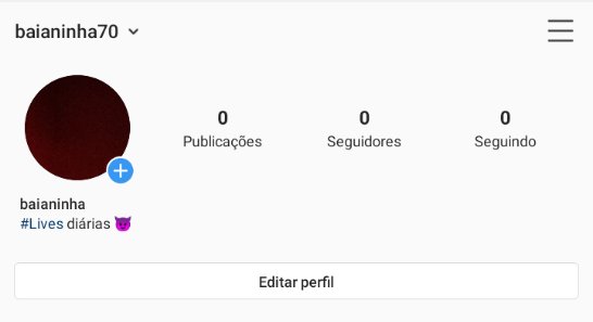 Baianinha tweet media
