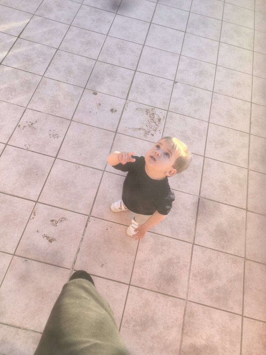 DaniGomeeeez's tweet photo. Mi sobrino se ha empeñado todos los días en q quiere coger la luna y no dja de intentarlo cada día, siendo este acto imposible. 
Los adultos en cuanto se nos pone una valla en el camino ya pensamos que es imposible. Sin embargo él tiene un cielo d por medio.

Aprendamos de ellos. https://t.co/t1Hhv6mXDZ