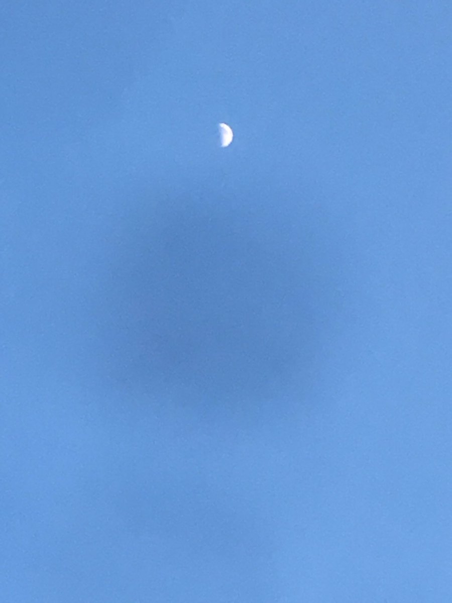 DaniGomeeeez's tweet photo. Mi sobrino se ha empeñado todos los días en q quiere coger la luna y no dja de intentarlo cada día, siendo este acto imposible. 
Los adultos en cuanto se nos pone una valla en el camino ya pensamos que es imposible. Sin embargo él tiene un cielo d por medio.

Aprendamos de ellos. https://t.co/t1Hhv6mXDZ