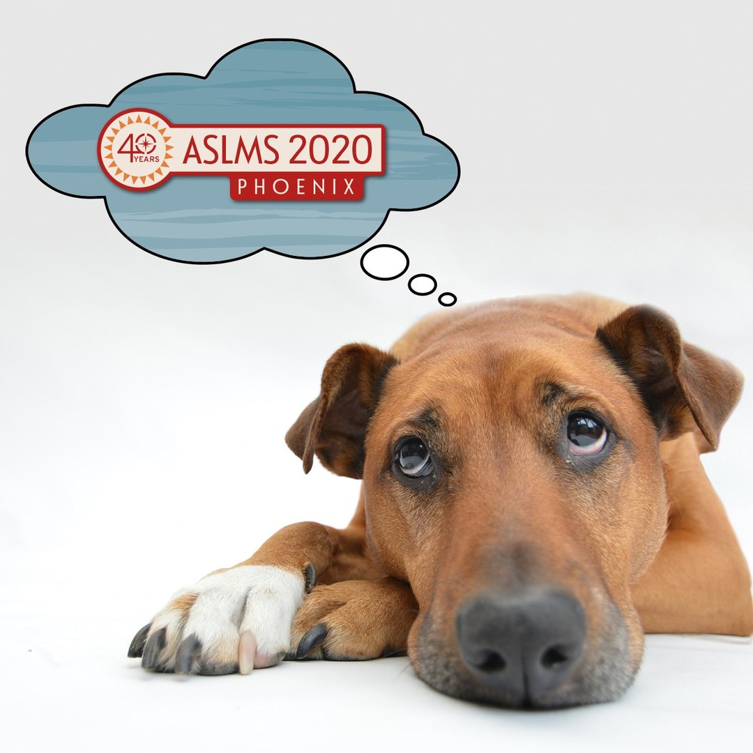 aslmsedu's tweet photo. We can't help but think about #ASLMS2020 this week and we miss seeing all of you at the Annual Conference. Since we can't meet face to face this year, ASLMS is bringing the education to you via a series of online informative sessions featuring leaders in… https://t.co/MdRquuOtFi https://t.co/FRw0hmMaWi