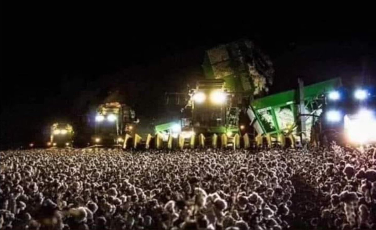 Du weißt, dass du auf Konzert-Entzug bist, wenn du hier eine Bühne mit Zuschauern anstelle eines Mähdreschers siehst