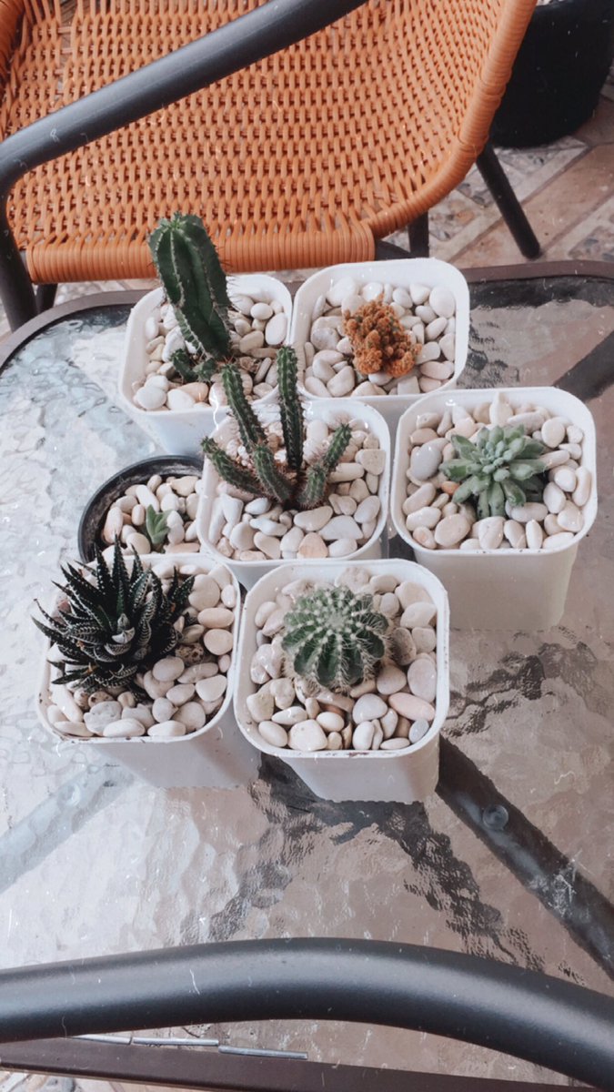 endruxander88's tweet photo. Selamat beradaptasi di tempat yang baru yah gaezz,kita saling menguatkan✊🏻😘🌵🌵🌵 https://t.co/ylK1CivGvT