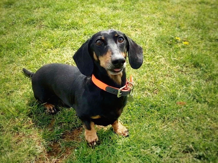 Mark Schofield tweet media