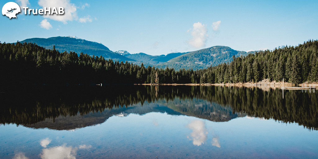 truehab's tweet photo. Life begins at the end of your comfort zone. What do you say?
FOLLOW @truehab
.
.
.
#travelmore #travelon #travelblogg #travelbloggerlife #shotoniphone #naturephotography #wanderlust #truehab #travelgoals #travel2020 #indiantravelblogger #indiantravelblog #travelguide https://t.co/VVqKhiWSLs