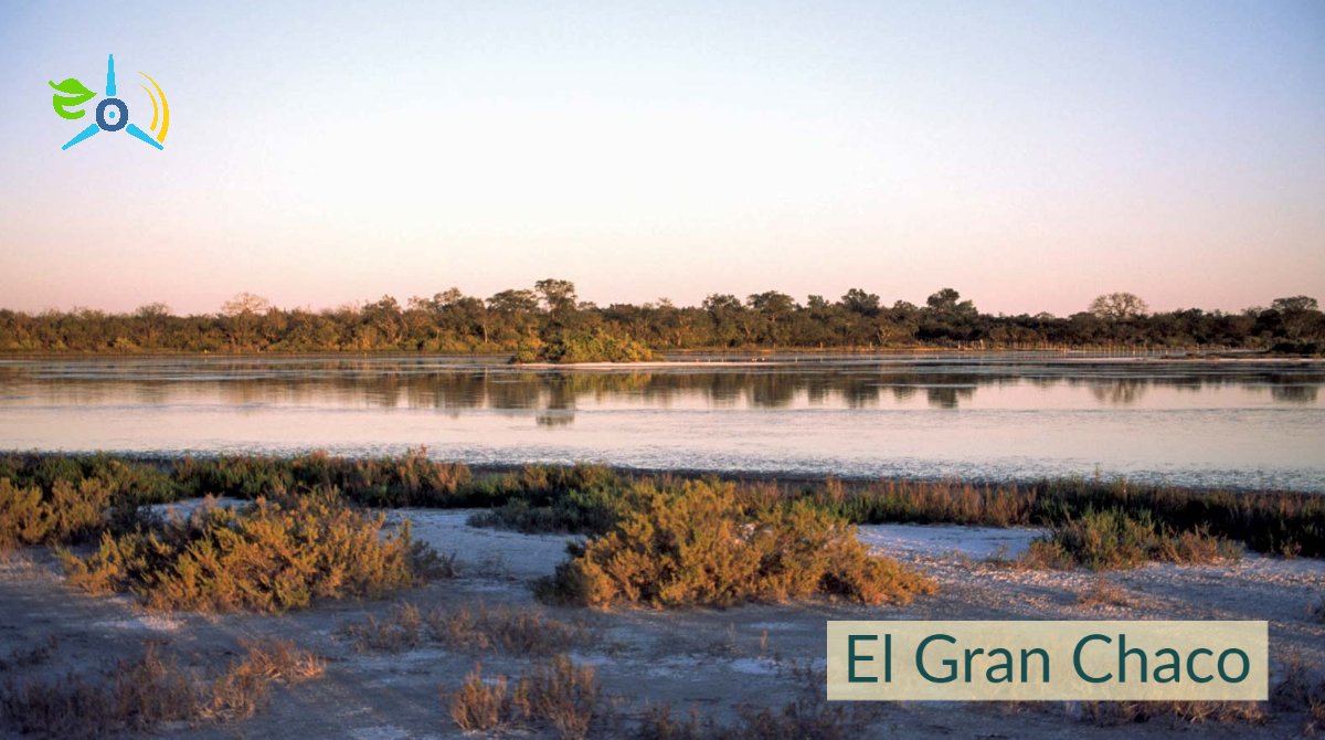 HelloRenewable's tweet photo. Según un estudio internacional con la participación del CSIC, el segundo bosque más grande de Suramérica, el Gran Chaco, ha sido afectado en el 40% de su expansión total por la deforestación y la caza. ♻

-
-
-

#hellorenewable#bosque#granchaco#deforestacion#caza#habitat#america https://t.co/qqOUmZo9dg