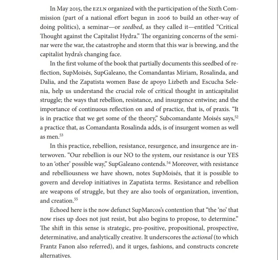 "the ways that rebellion, resistance, and insurgence entwine; and the importance of continuous reflection on and of practice, that is, of praxis. “It is in practice that we get some of the theory,” Subcomandante Moisés says"