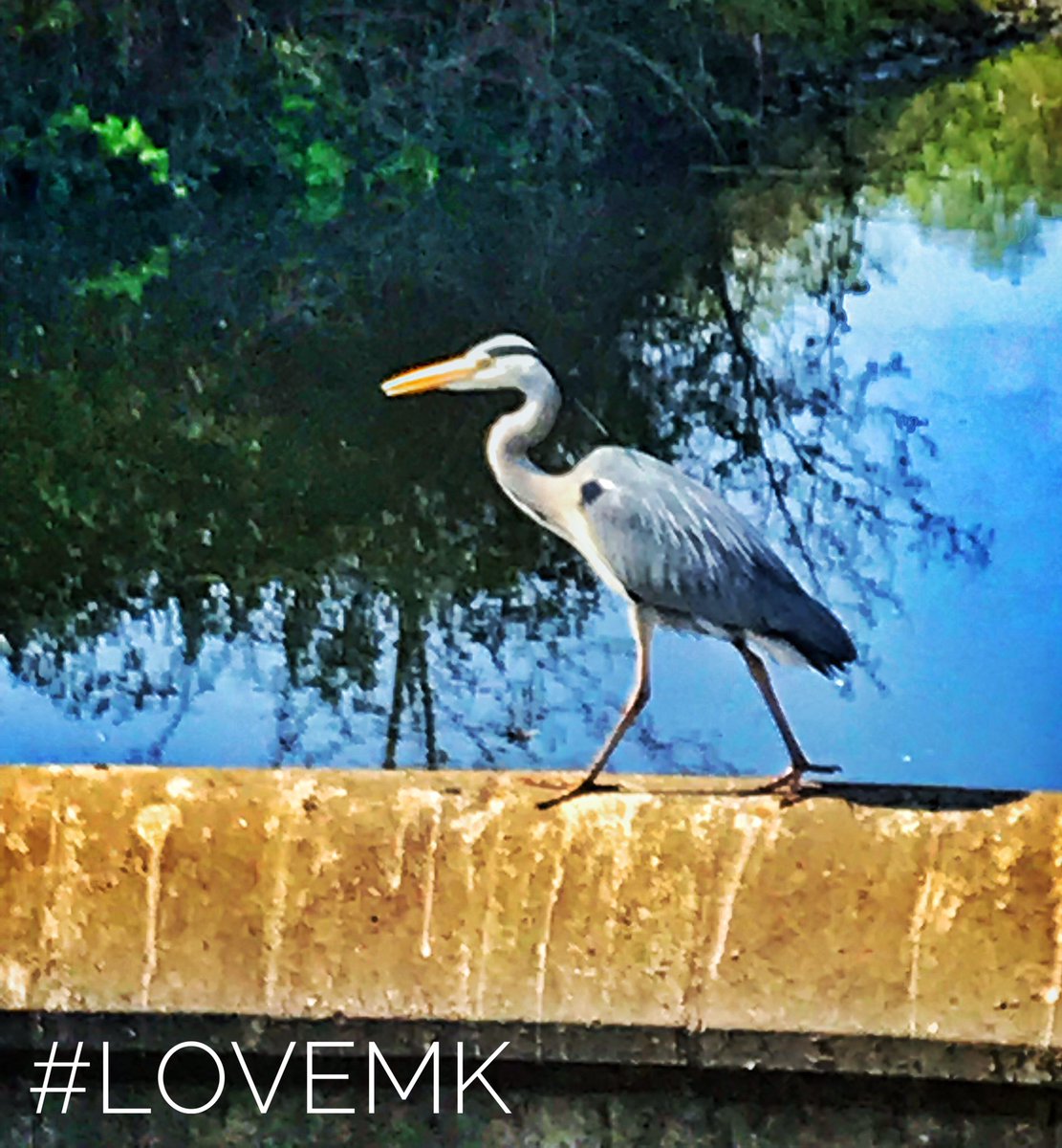 More of our concrete city just moments from the train station...
#LoveMK #unexpectedmk  
<a href="/DestinationMK/">DestinationMK🎈</a> <a href="/GillPrincePhoto/">Gill Prince 💙</a>