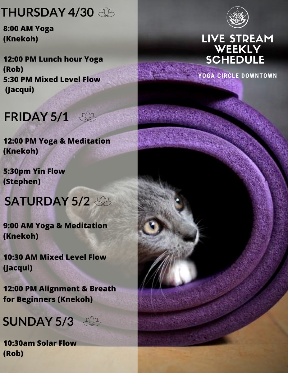 Flow into the weekend with us on YCD Live! Email admin@yogacircledowntown.com for access. Class times PST. See you on the mat! 

Classes are donation-based. Thank you to our generous yogis for supporting our livelihoods!
Venmo: @ yogacircle
PayPal: admin@yogacircledowntown.com