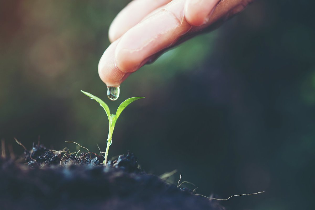 MasterMehmed's tweet photo. “When confronting a pandemic, we must save our nature to save ourselves” find the link to our website in our biography #ErasmusPlus #ErasmusPlusProjects #ePeople #MasterMEHMED #MEHMEDproject #climatechange https://t.co/QfustRcbAz
