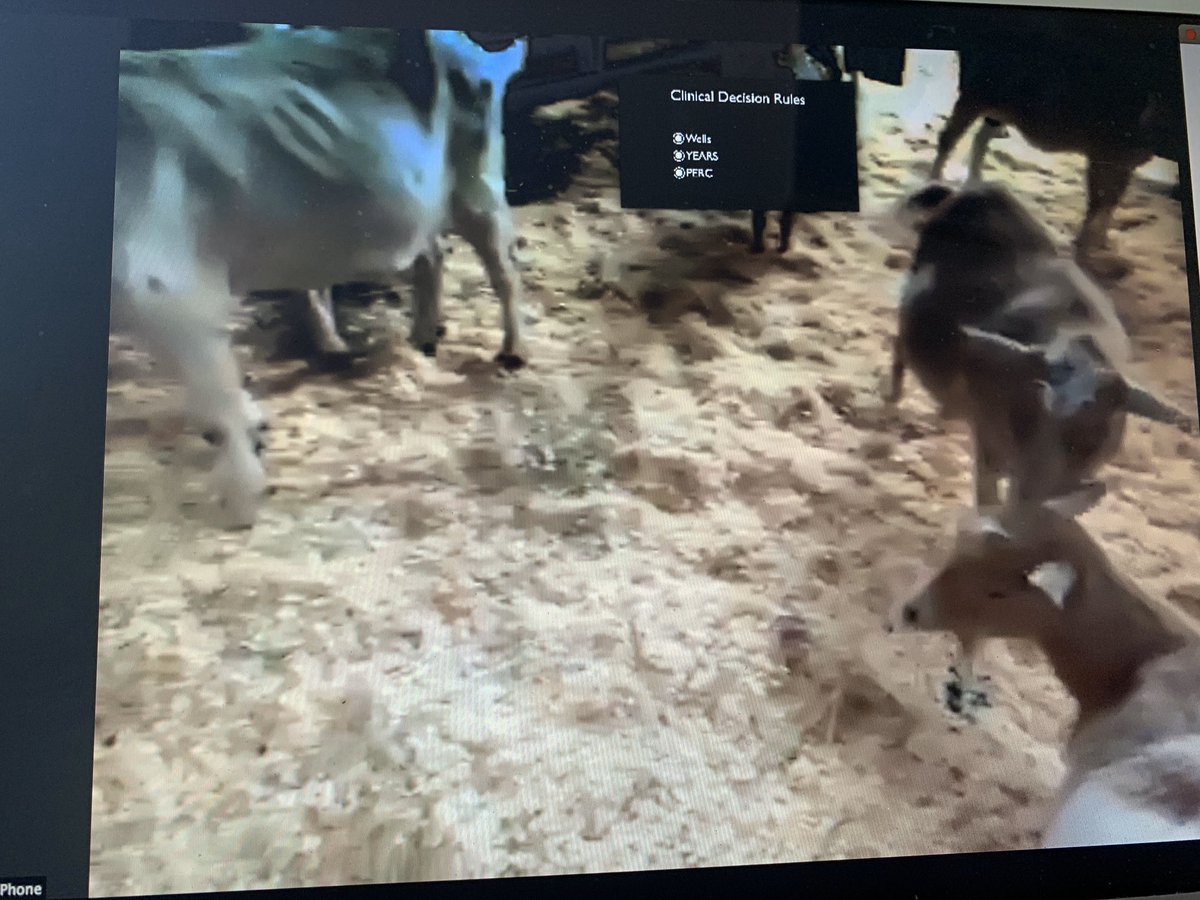 Iowa_EM's tweet photo. Proud first: while giving a #EMConf lecture on Pulmonary Embolism, our chat was #zoombombed by goats ๐.
Yes. We were hacked by goats ๐.
My academic life is complete. Runde out ๐ค โฌ๏ธ #zoombomb #goatrodeo #thecyber via @Runde_MC https://t.co/gesBzIVEw4