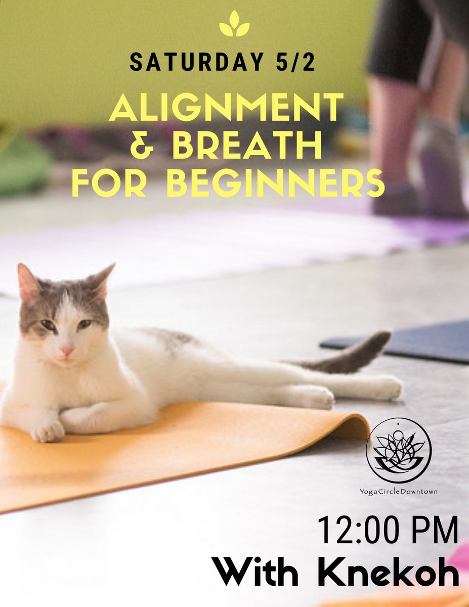 Sat., 5/2, 12n: Build your home practice with @yogiknekoh at our signature Alignment &amp; Breath beginner’s yoga class! Cultivate yogic breath, flow mindfully through vinyasa, link breath with movement &amp; learn proper alignment along the way. Admin@yogacircledowntown.com for access!