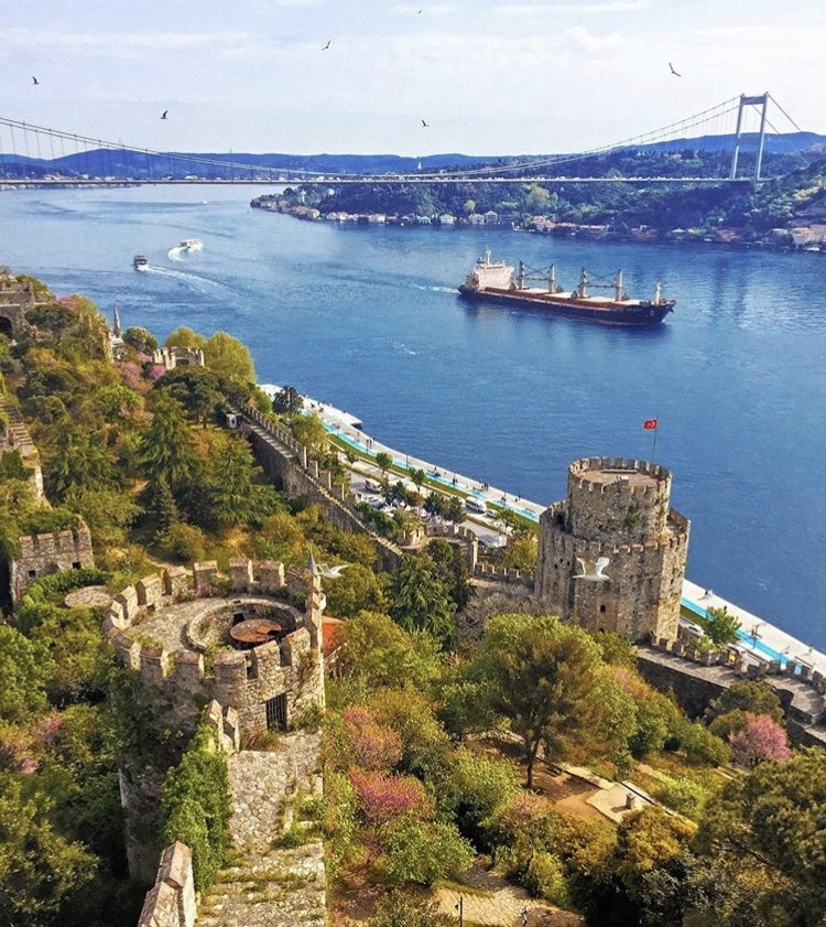 timur_harzadinn's tweet photo. Sana söz yine baharlar gelecek.. https://t.co/rDsbXxbjT5
