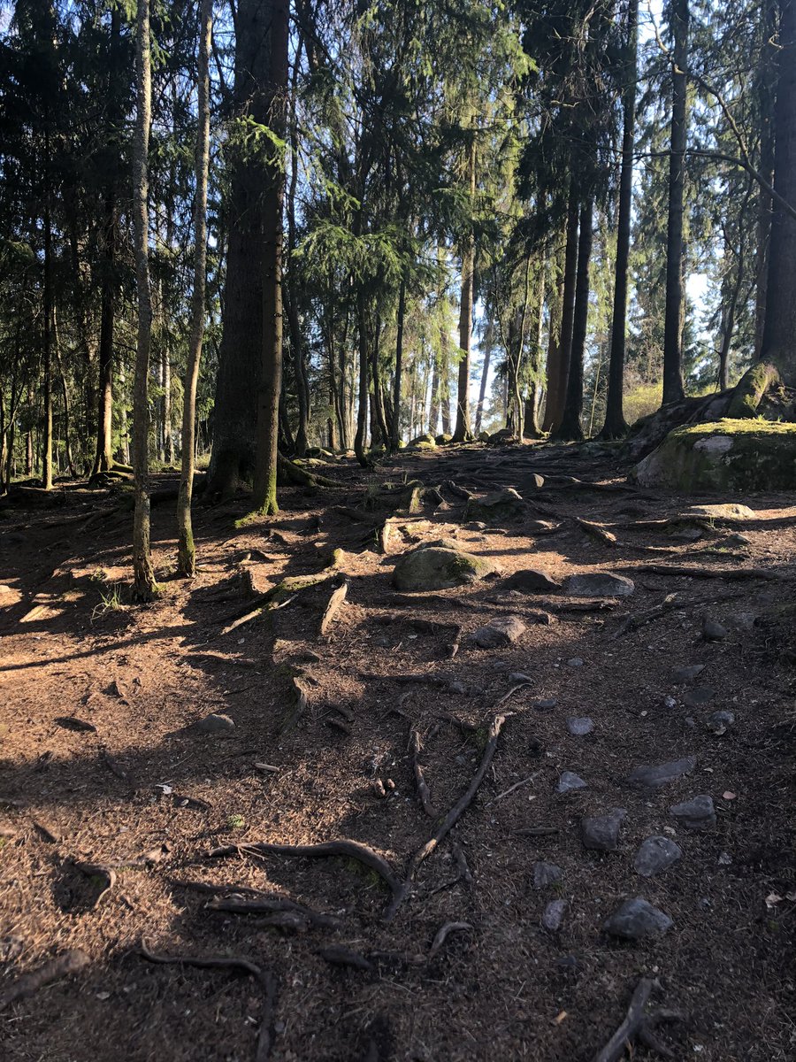 #mylifeinpictures #elämänikuvina Päivä 3/7: seitsemän päivää, seitsemän kuvaa, ei sanoja. Kiitos haasteesta <a href="/katjamiettinen/">Katja Miettinen</a> Haluaisin nähdä sun arkea @AnuSaranp